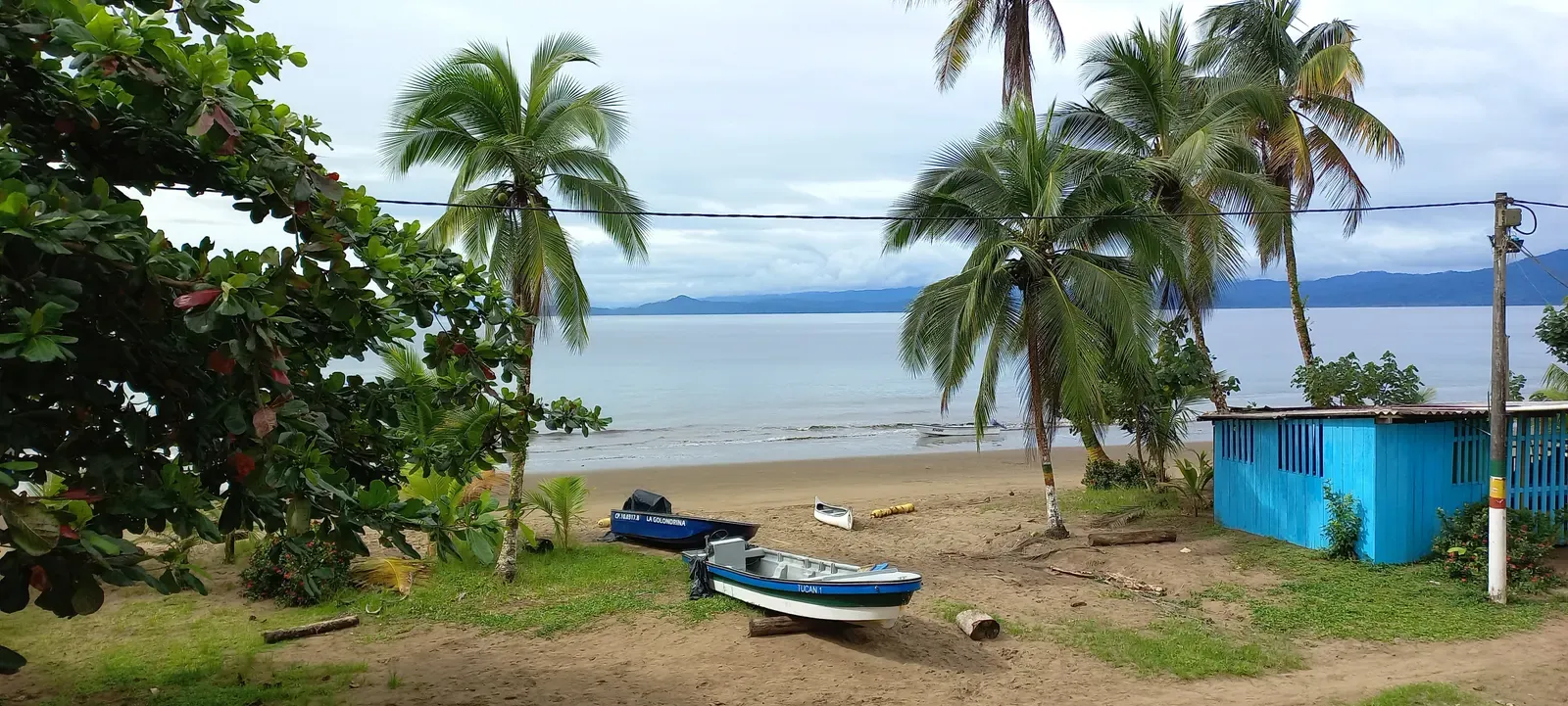 Fishing boats rest on the sand beside palm trees and a blue wooden building in Bahía Solano.