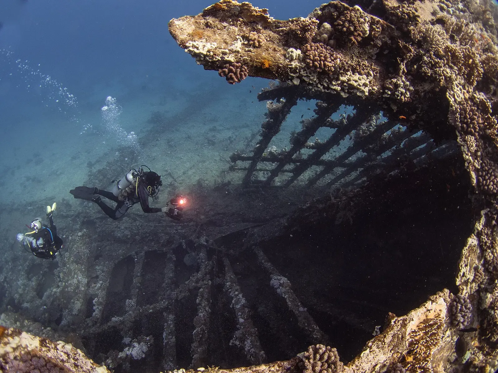 A coral-covered archway of the Carnatic wreck rises through blue water with a diver hovering nearby.