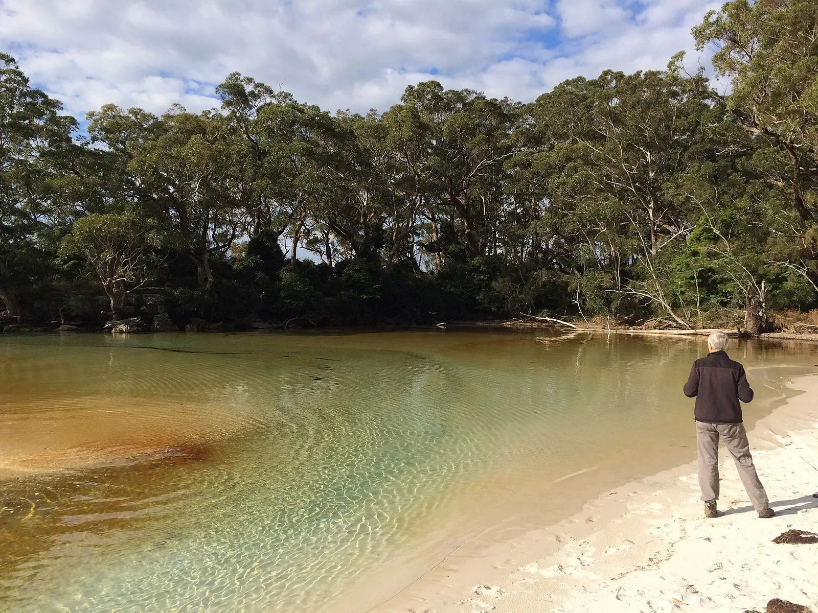 Turquoise water breaking over a rocky reef fringed with green algae in Jervis Bay