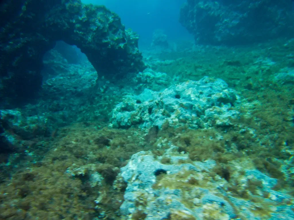Rock arch over an algae-covered volcanic seabed underwater at Ustica