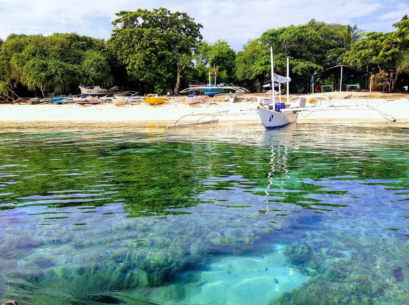 Outrigger boats float over the clear reef shallows of Balicasag Marine Sanctuary