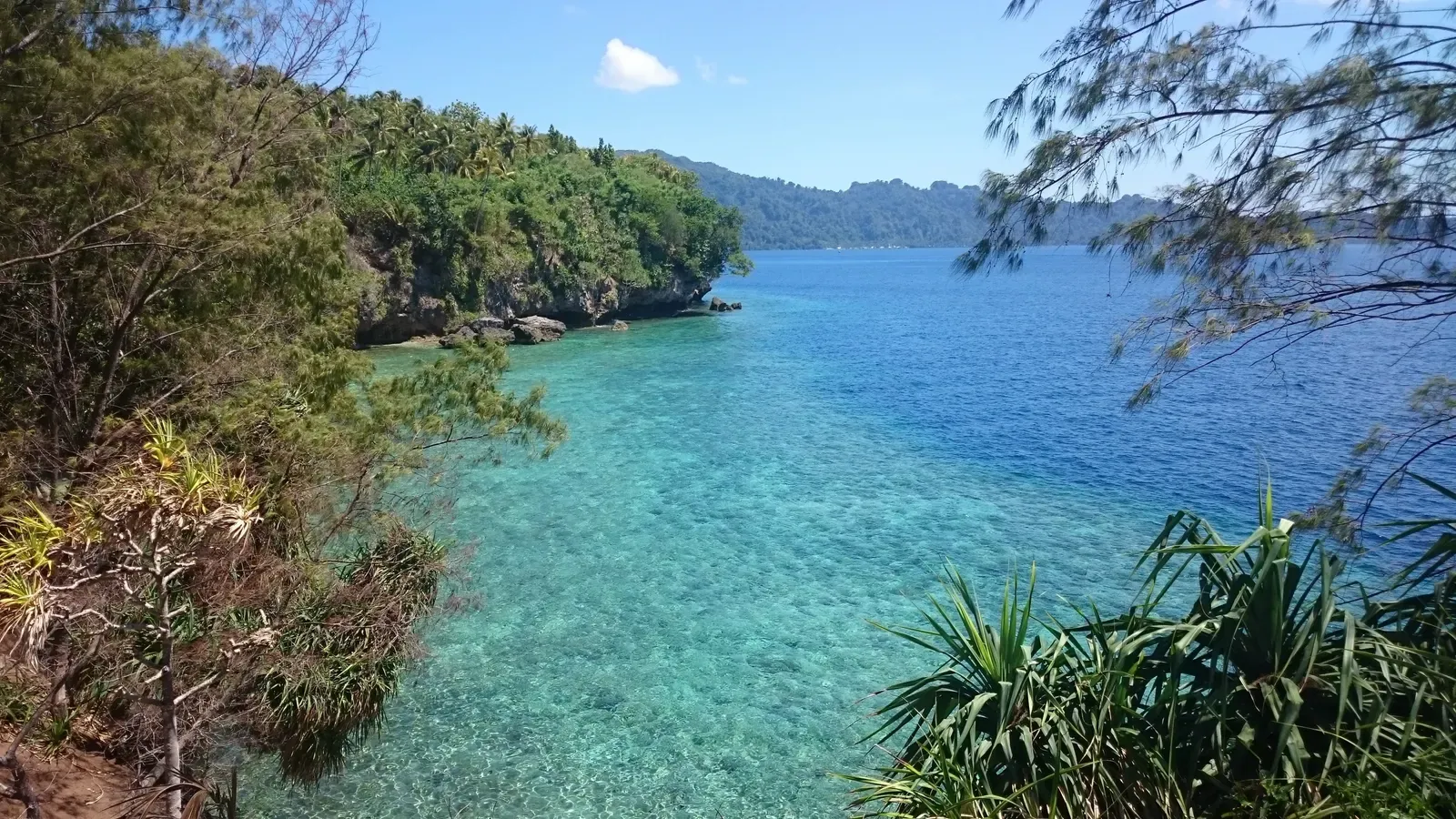 A sheltered bay of clear turquoise water framed by jungle-covered cliffs at Pulau Pisang