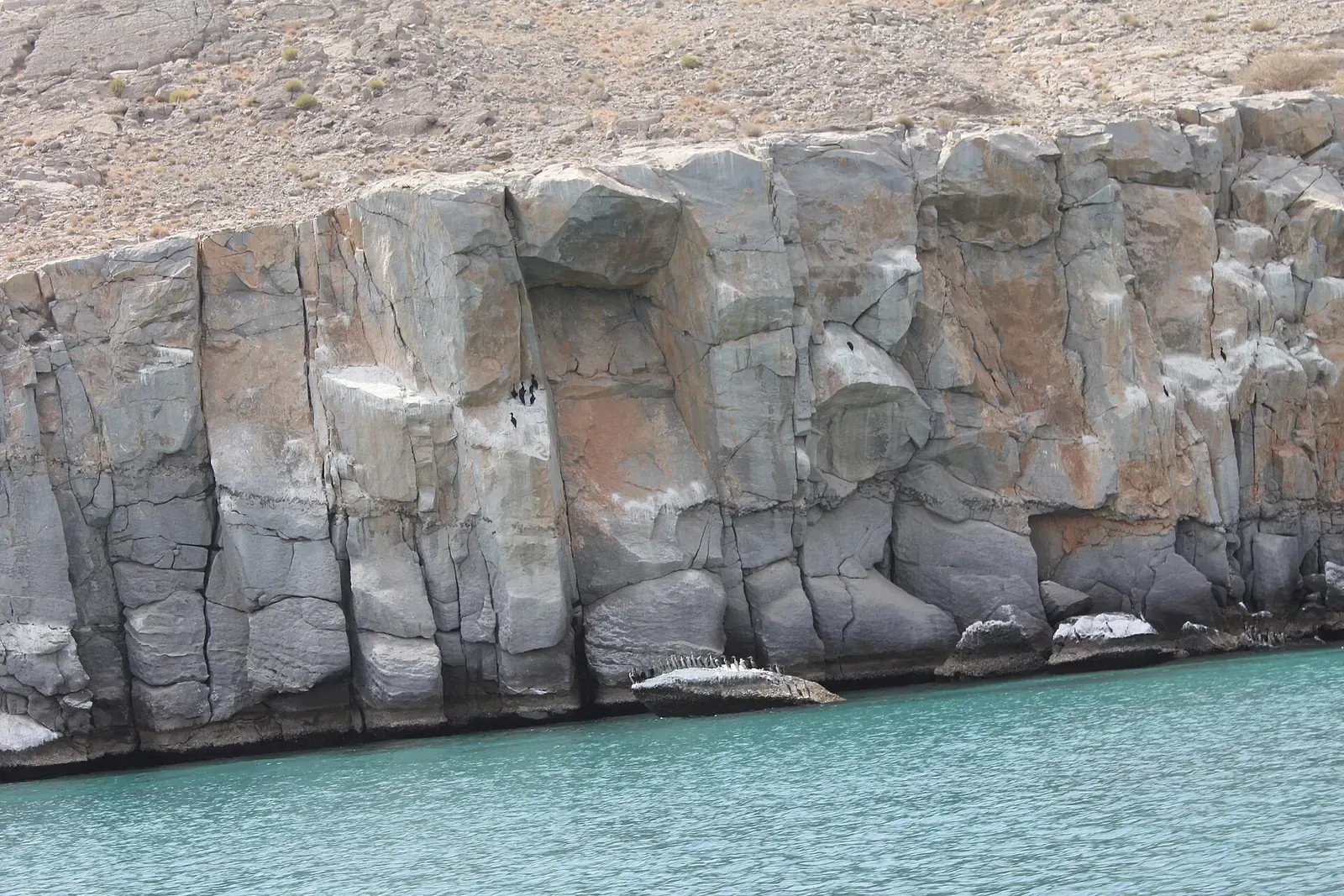 A sheer rock wall drops straight into turquoise water along Musandam's rugged coastline