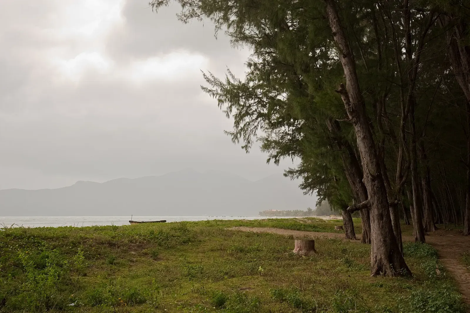 Small fishing boat resting on a quiet beach edged by pine trees in Con Dao National Park.