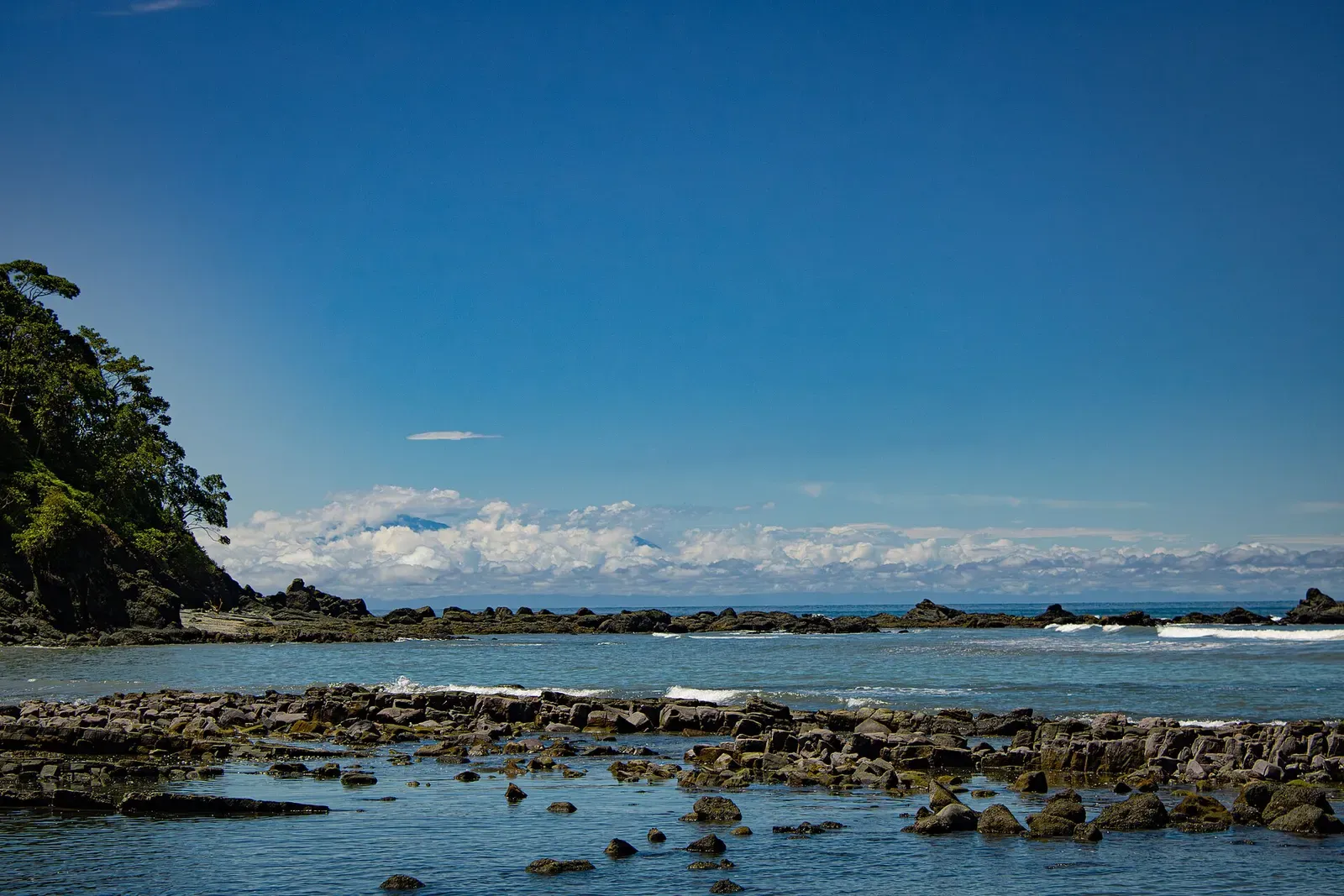 Volcanic rock shelves washed by low tide along Gorgona's rocky coastline.