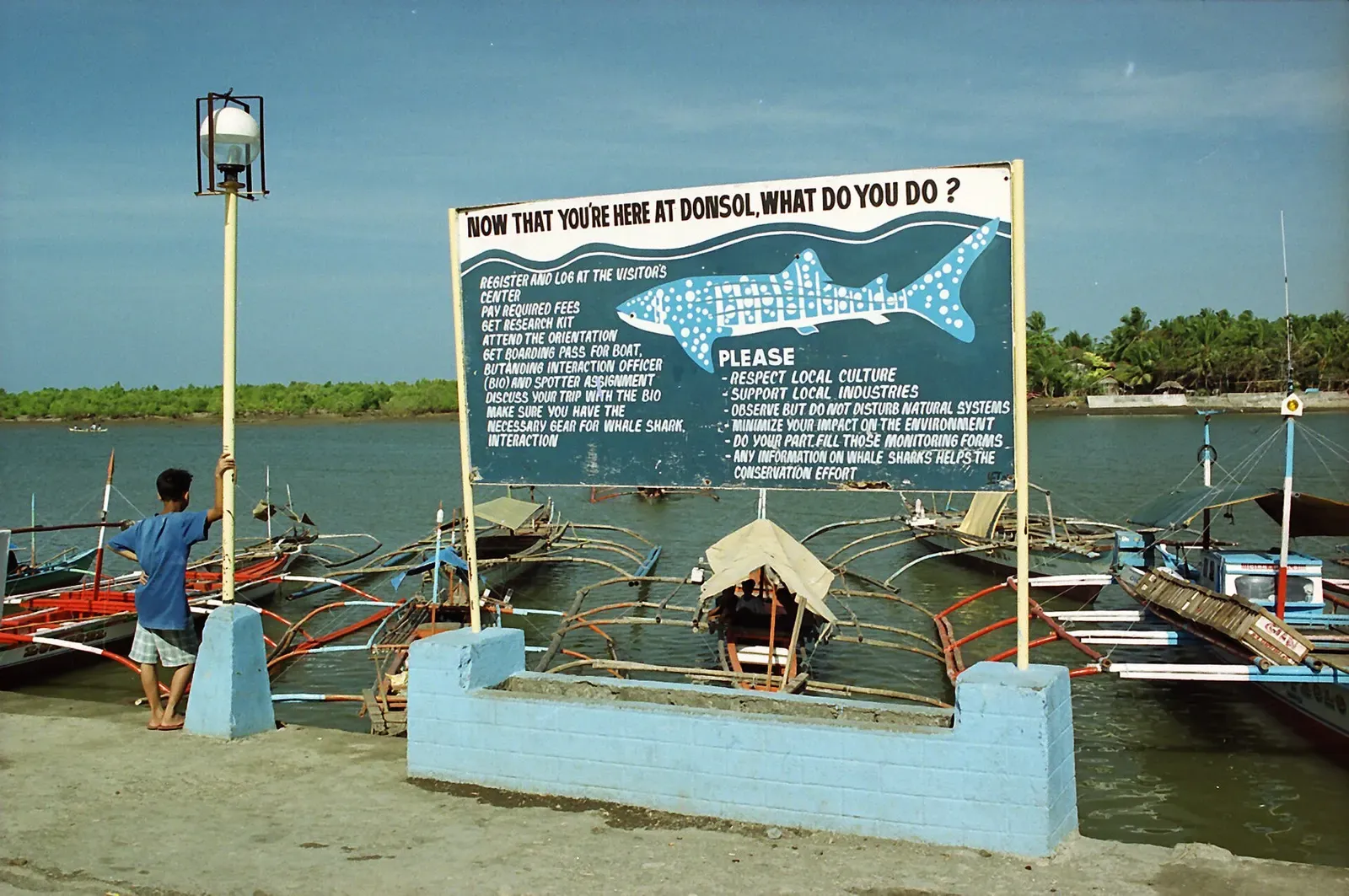 Sign at the Donsol visitor centre explaining whale shark interaction rules, with outrigger boats moored behind