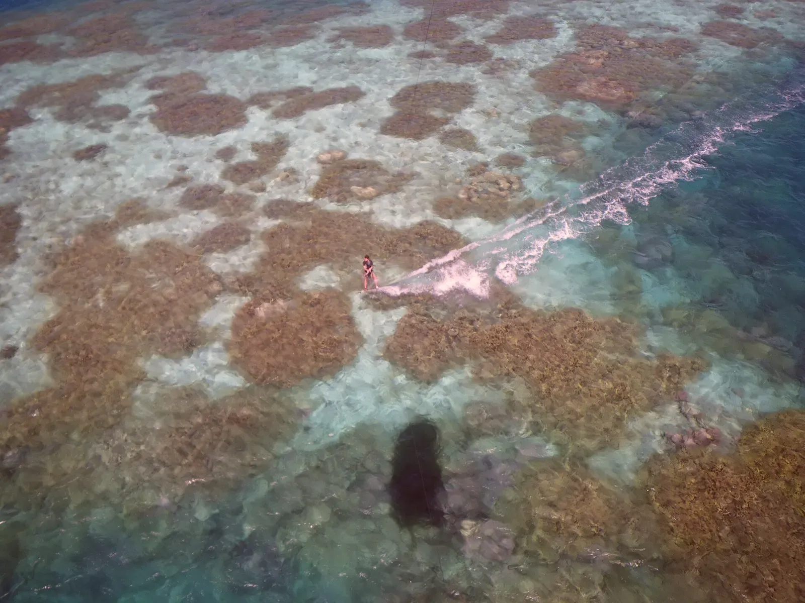 Aerial view of a coral reef patch in the shallow lagoon at Cocos (Keeling) Islands