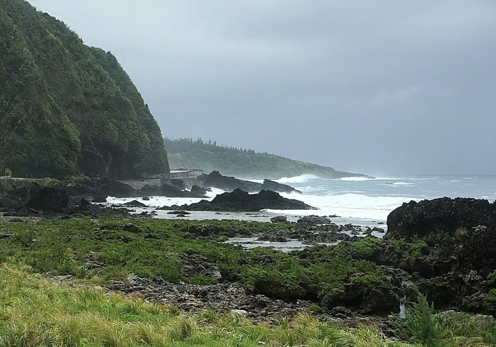 Rugged green cliffs and rocky shoreline along Green Island's coast