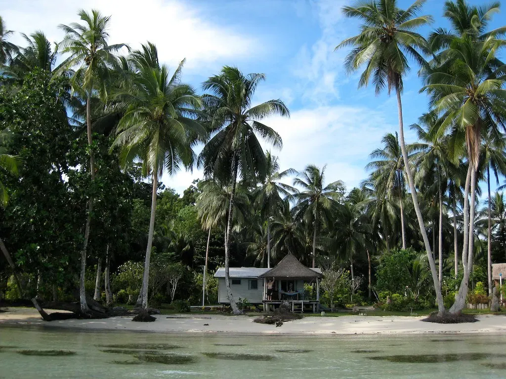Thatched-roof hut beneath tall coconut palms on the shore of Marovo Lagoon.