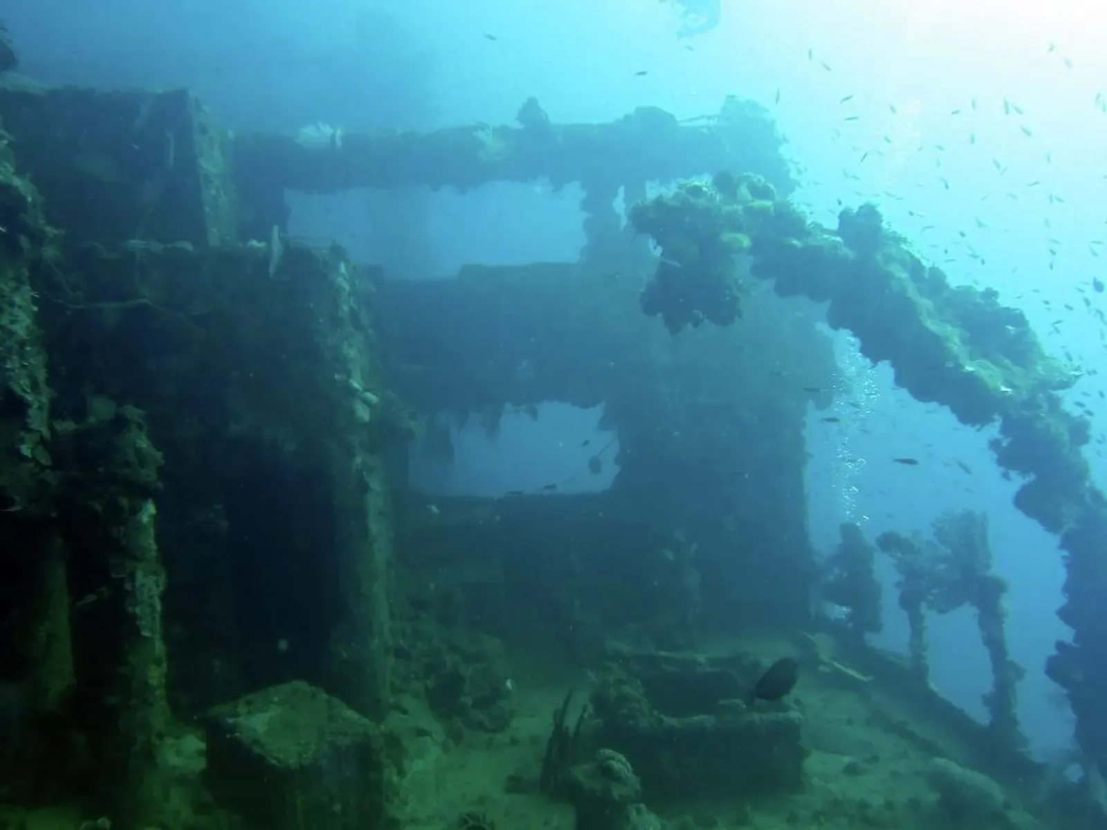 Coral-encrusted superstructure of the Nippo Maru wreck with fish schooling around the hull