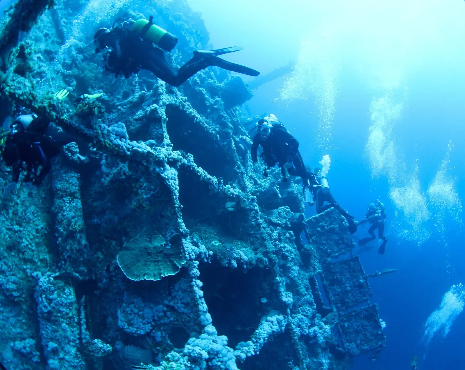 Divers exploring the lattice superstructure of the Numidia wreck off Big Brother Island