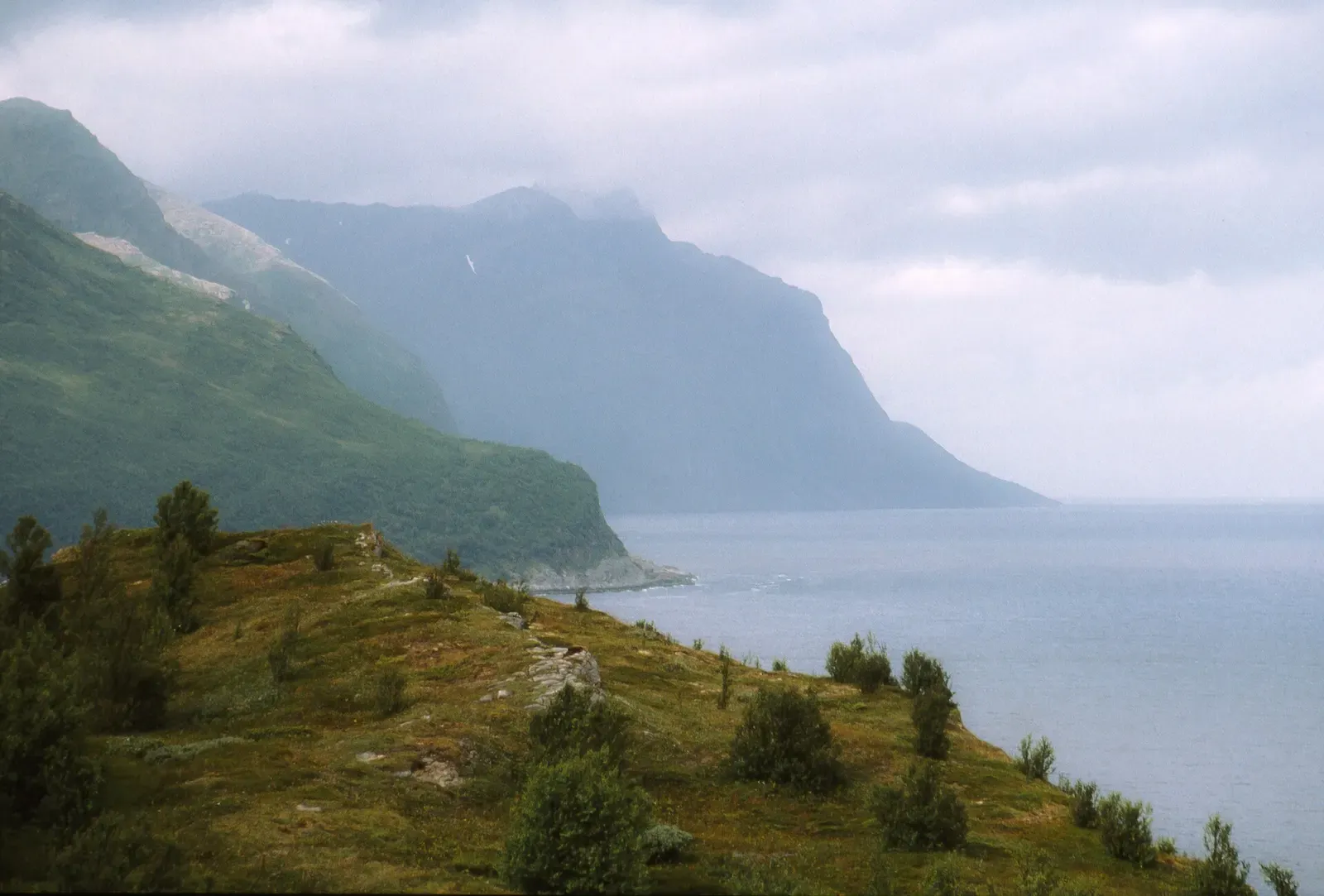 Mist clings to steep coastal cliffs above the sea near Skjervøy in northern Norway