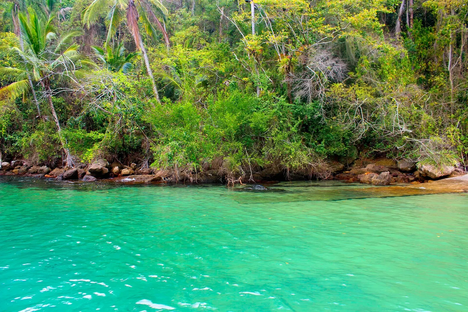 Emerald-green lagoon bordered by dense Atlantic rainforest on Ilha Grande