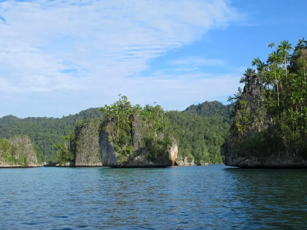 Forested limestone cliffs and islets enclosing a sheltered inlet of Triton Bay