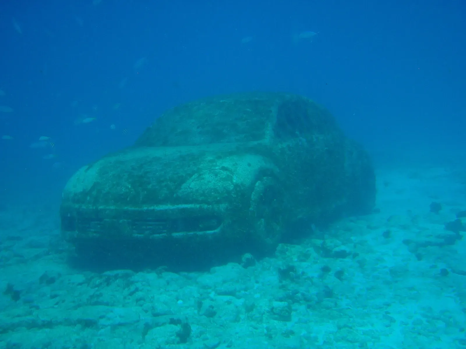 A coral-covered Volkswagen Beetle sculpture rests on the seabed at the MUSA underwater museum