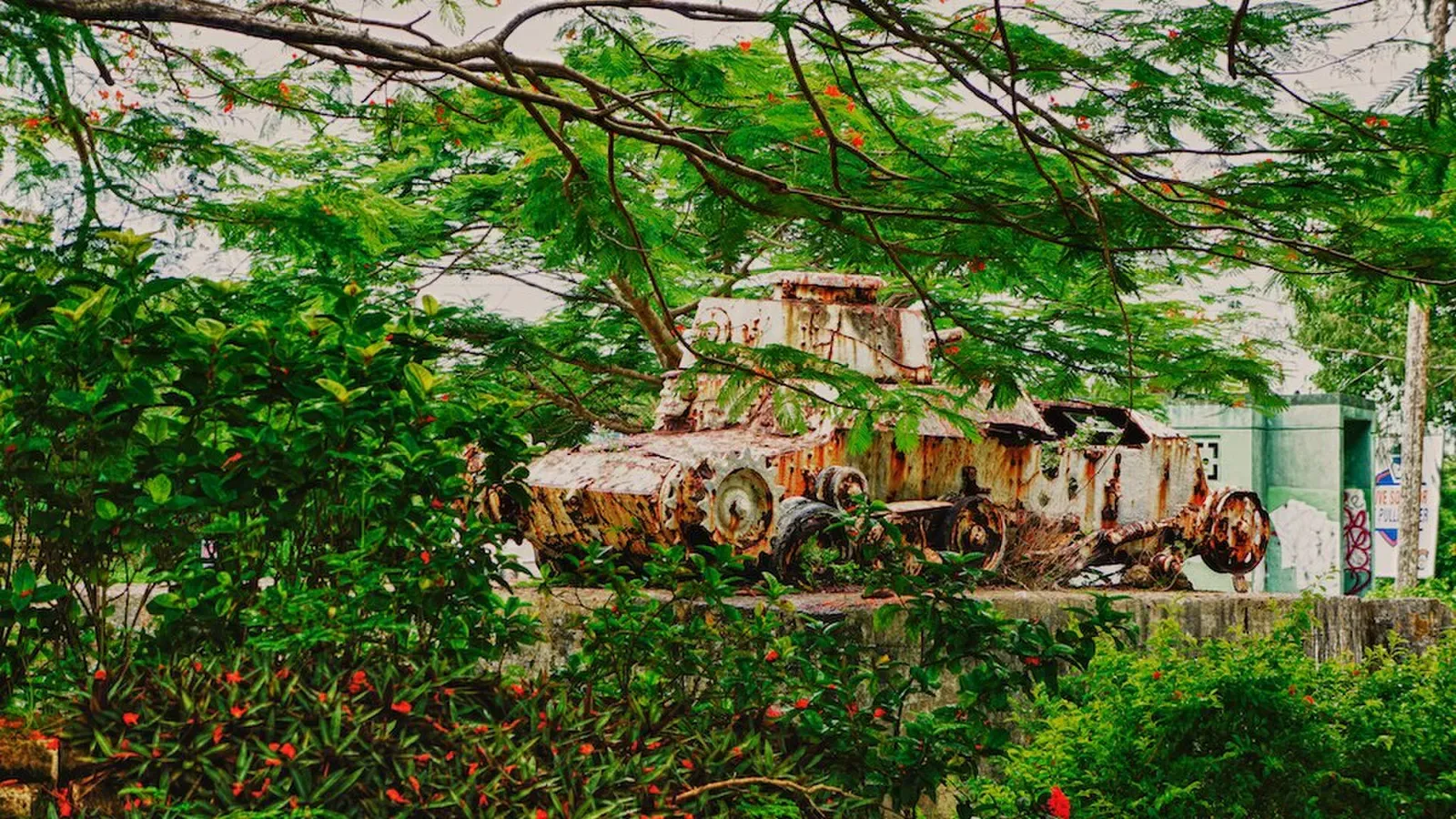 Rusted WWII-era tank overgrown with vegetation on the coast of Saipan
