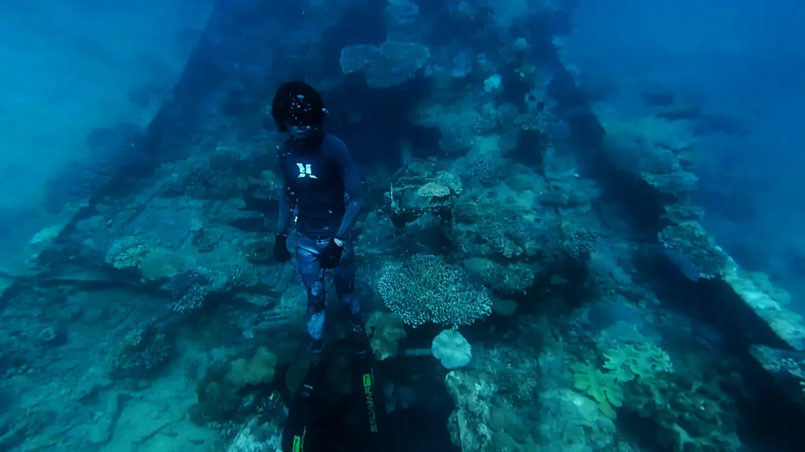 A diver explores a coral-encrusted shipwreck resting on Apo Reef's sand.