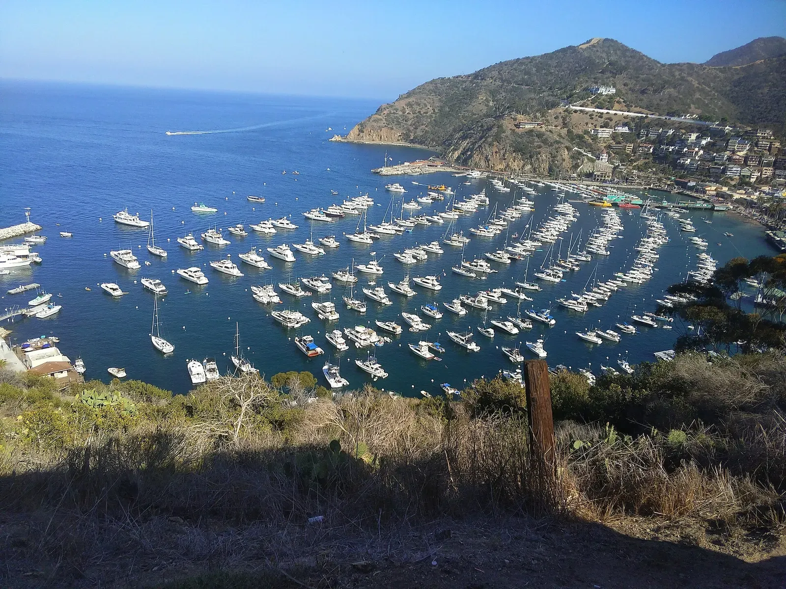 Sailboats fill Avalon Harbor below the hillside town on Catalina Island