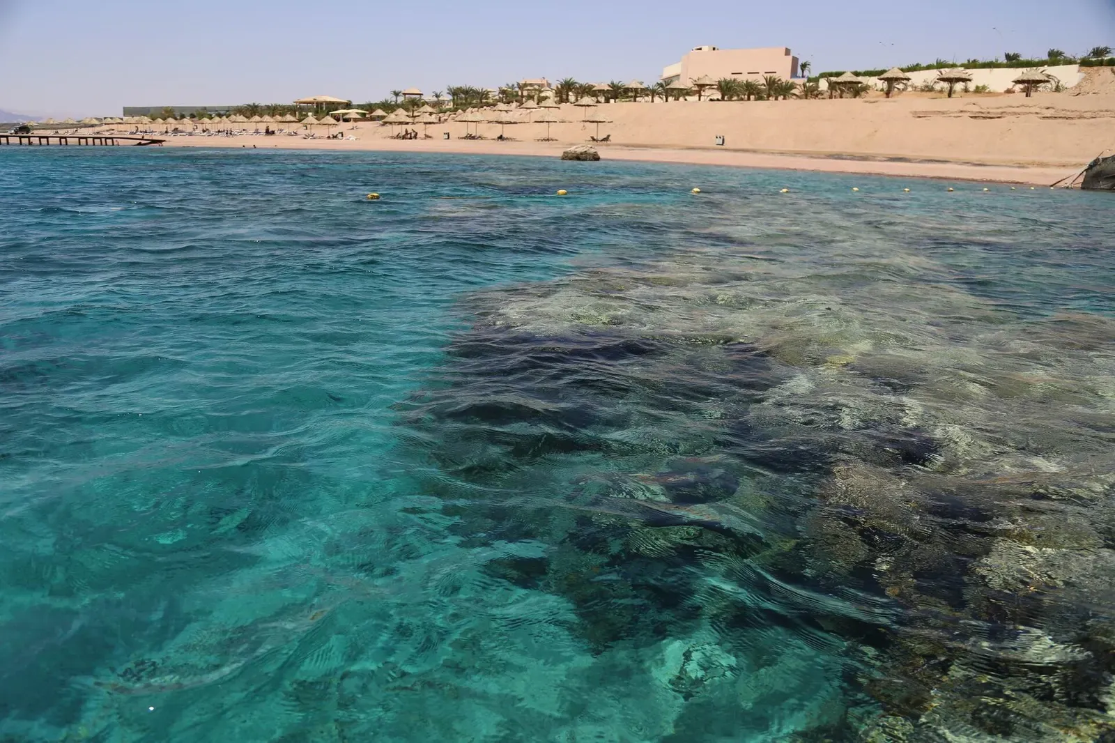 Shallow coral reef visible through clear turquoise water along Aqaba's shoreline