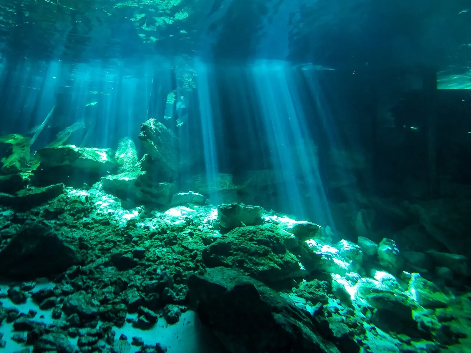 Sunbeams piercing the water inside a limestone cenote, lighting up rock on the cavern floor