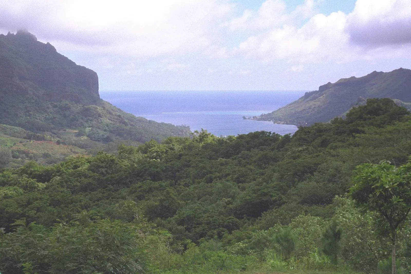 Cook Bay's forested ridge and lagoon waters seen from an elevated overlook in Moorea