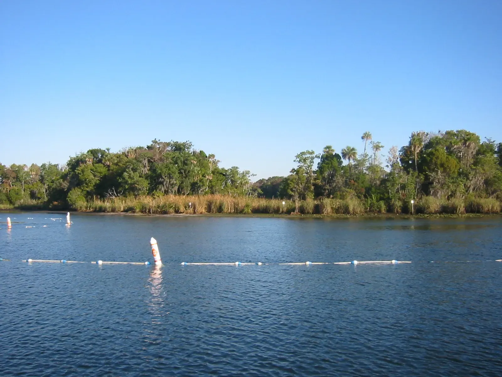 Buoys mark the boundary of a manatee sanctuary in Kings Bay at Crystal River National Wildlife Refuge.