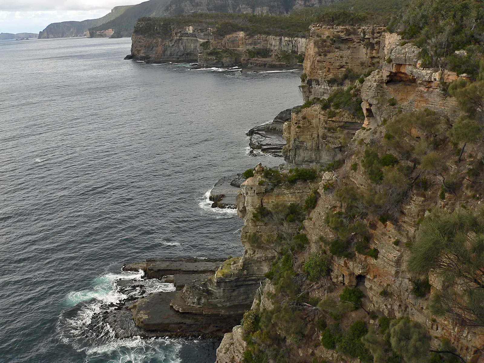 Steep granite cliffs drop into the sea along the Eaglehawk Neck coastline, Tasmania.