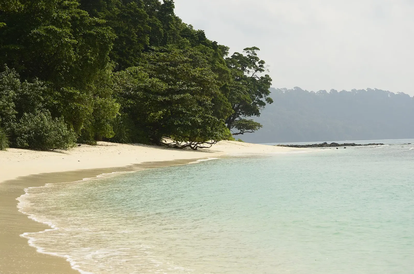 Shallow turquoise lagoon and white sand beach on Havelock Island in the Andaman Islands