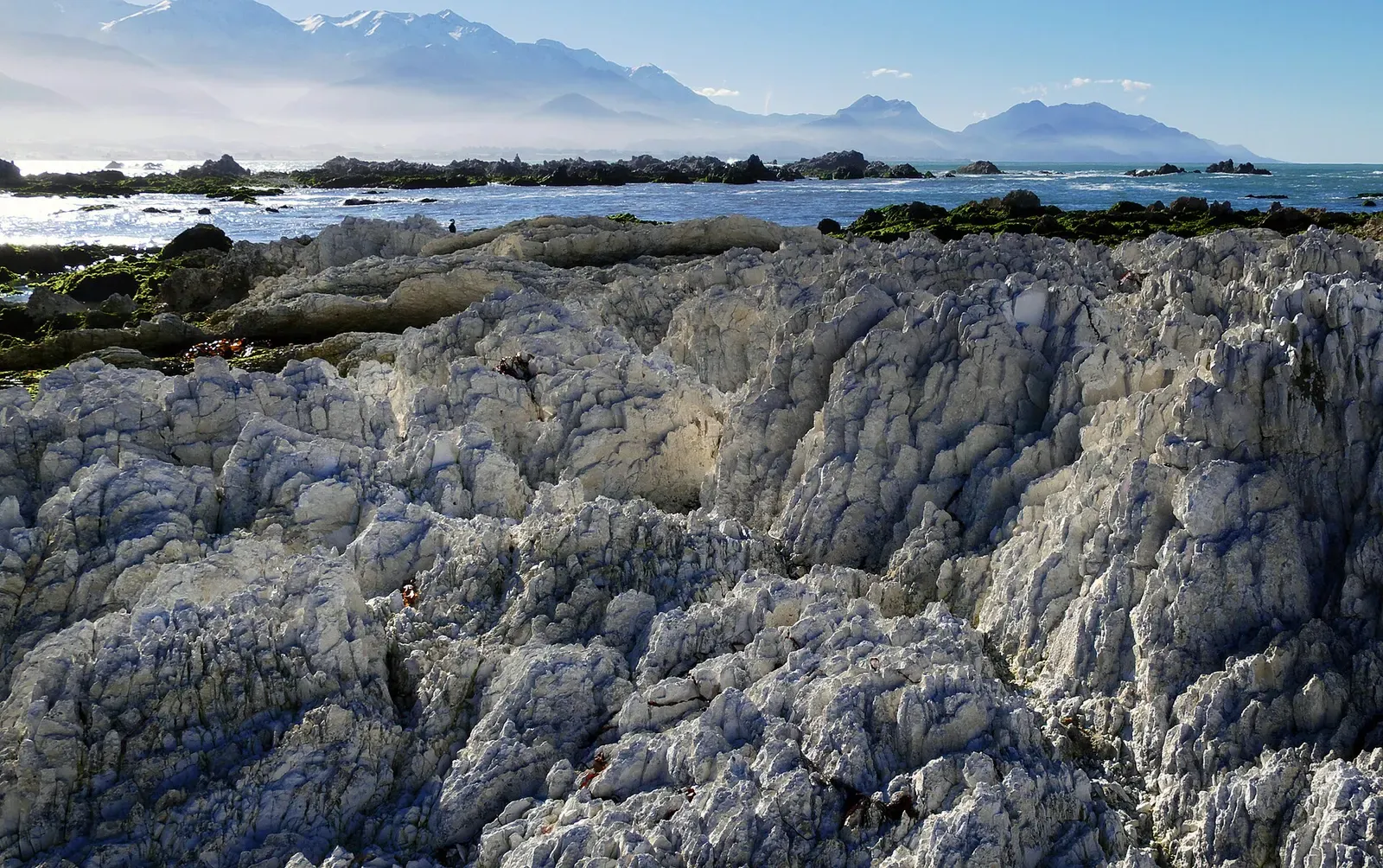 Rugged uplifted limestone shoreline at Kaikōura with the Seaward Kaikōura mountains behind