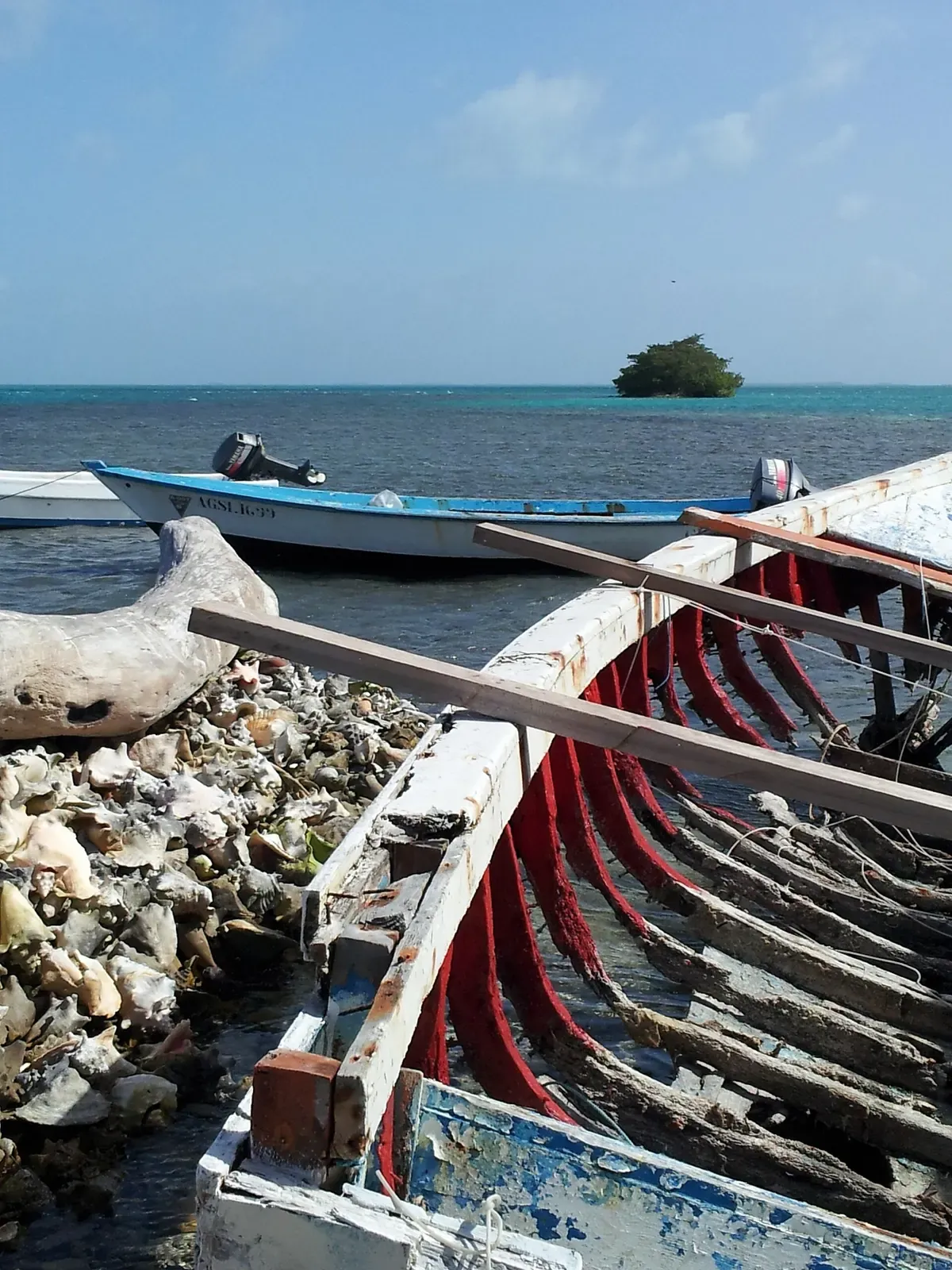 A weathered wooden fishing boat and piles of conch shells line the shore of a Los Roques cay.