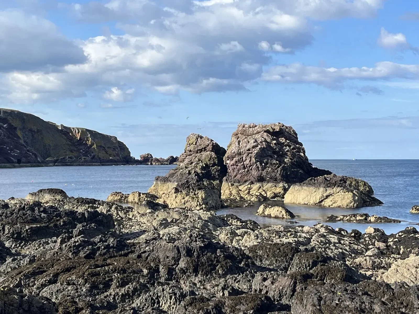 Weathered sea stack rising from the water near the St Abbs harbour entrance