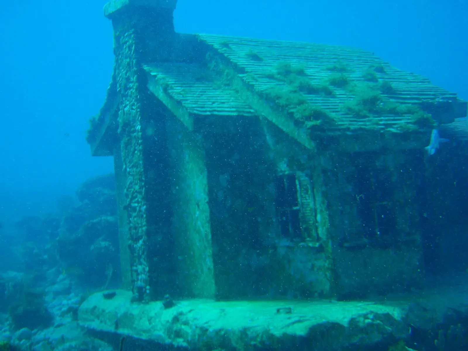 A concrete house sculpture encrusted with coral sits on the seabed at the MUSA underwater museum
