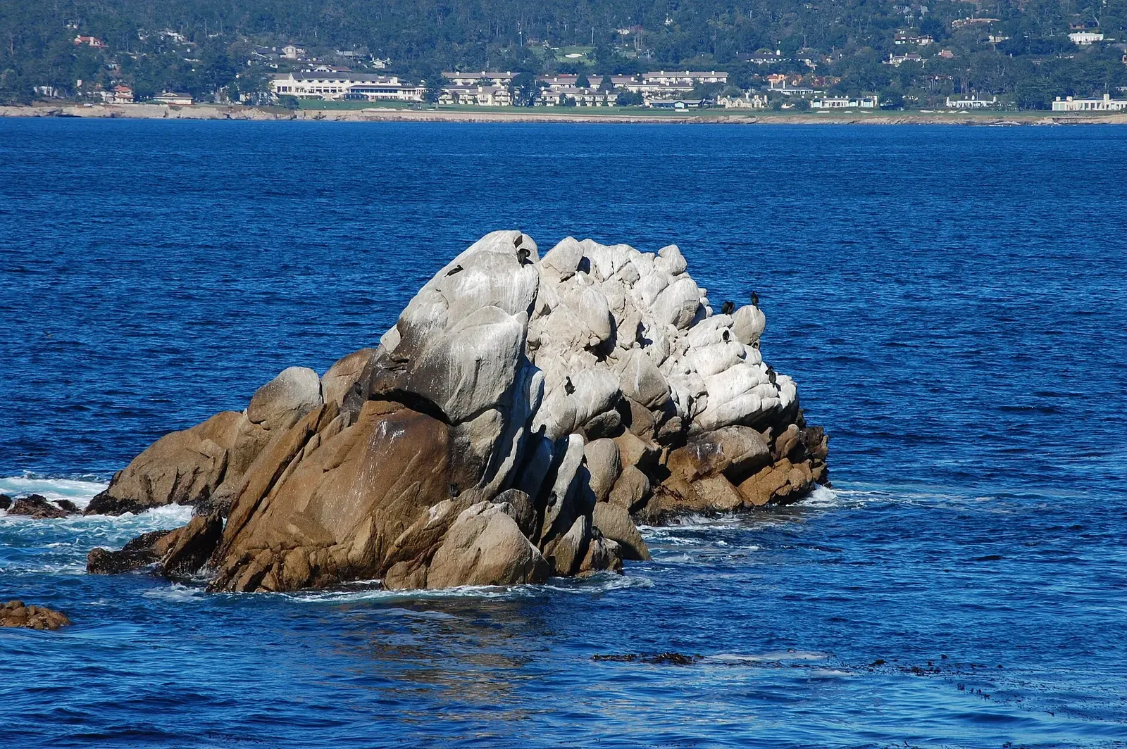 Seabirds perch on a granite sea stack rising from the water near Whalers Cove.
