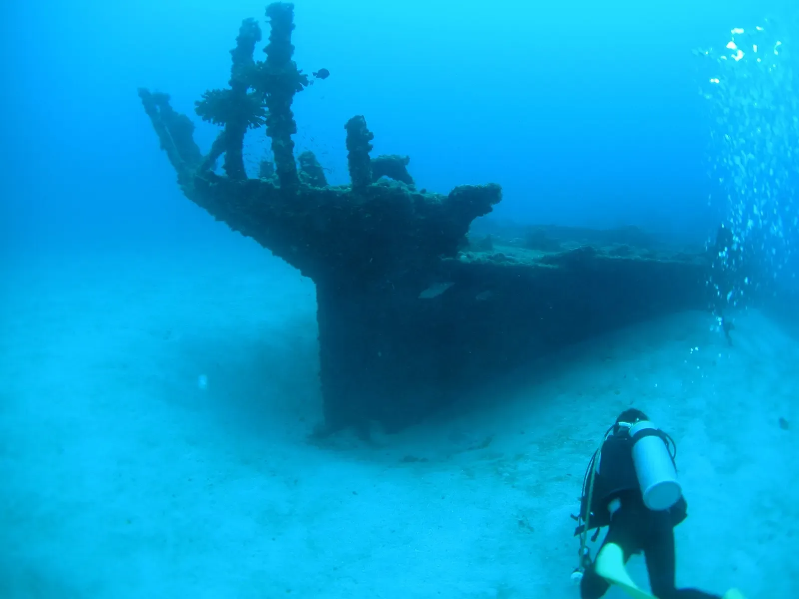 A diver explores the bow of a sunken wreck in clear blue water off Hahajima, Ogasawara Islands