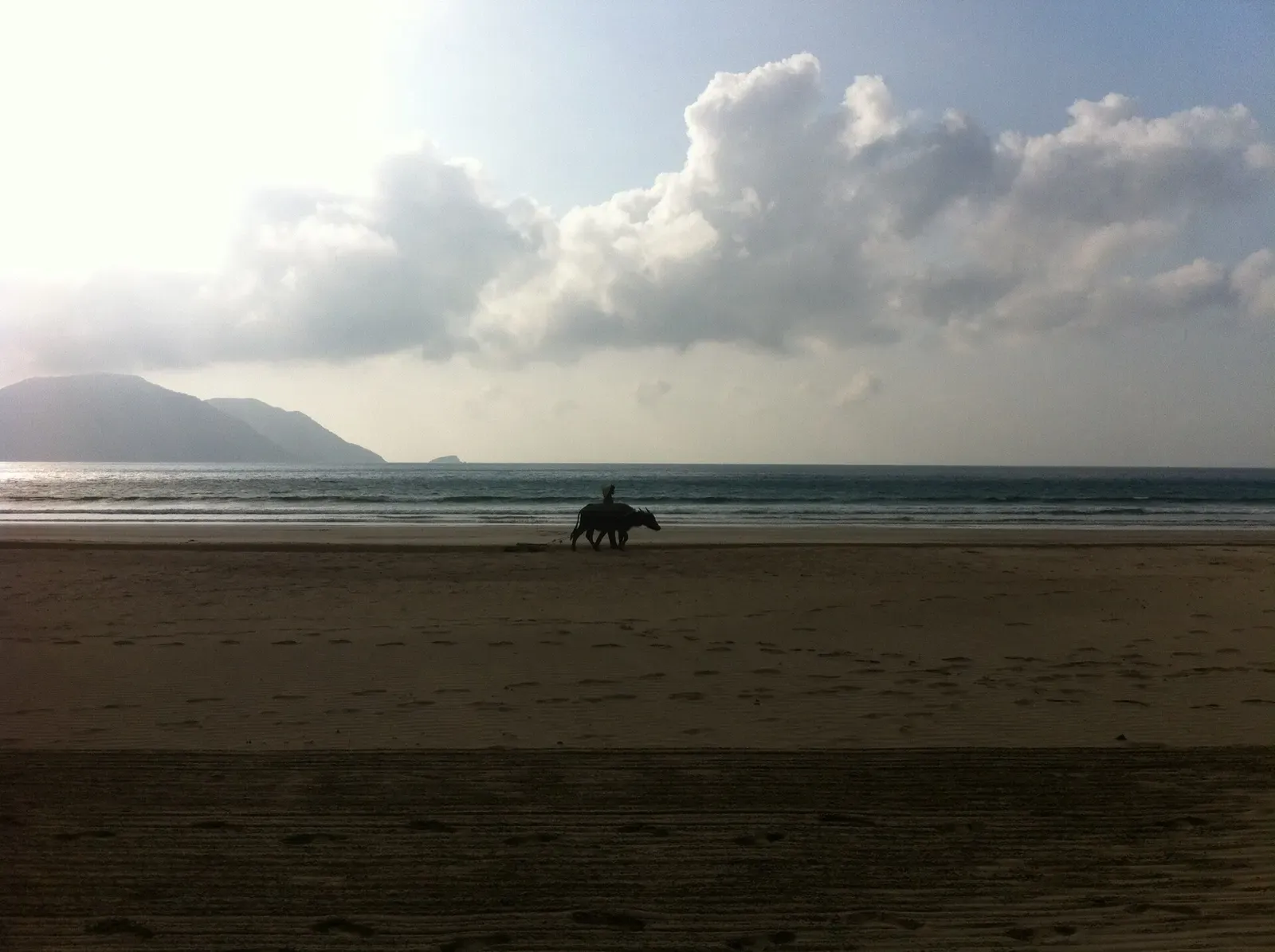 A water buffalo and its handler cross a quiet beach at dusk in the Con Dao archipelago.