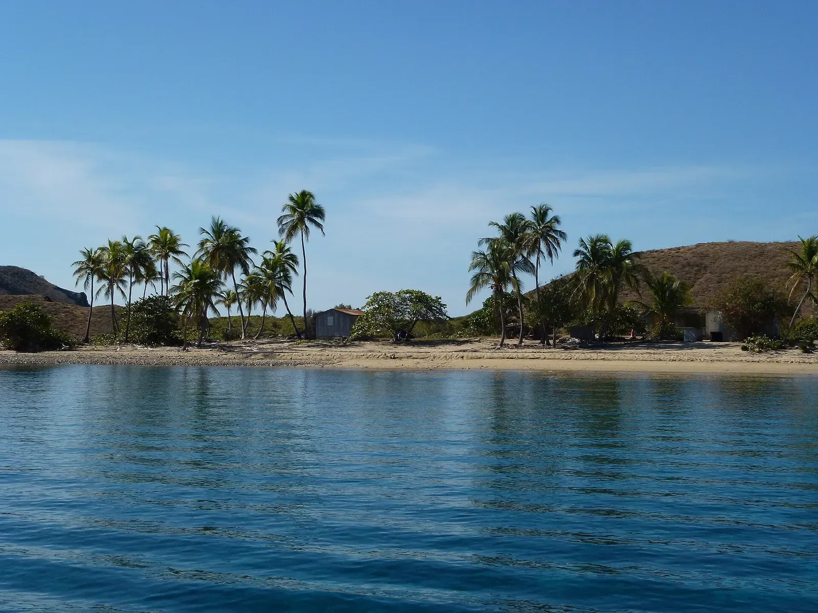 Palm trees line a quiet sandy shore on Salt Island in the British Virgin Islands.