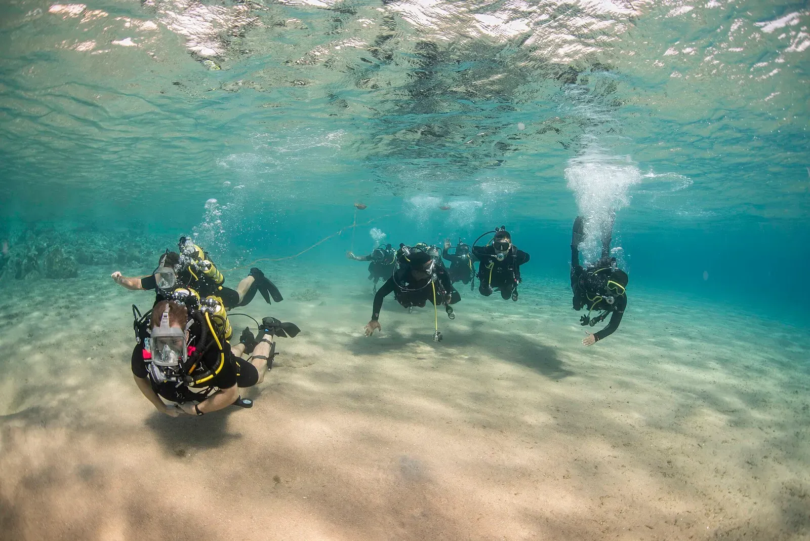 Divers descending through clear shallow water in the Gulf of Aqaba