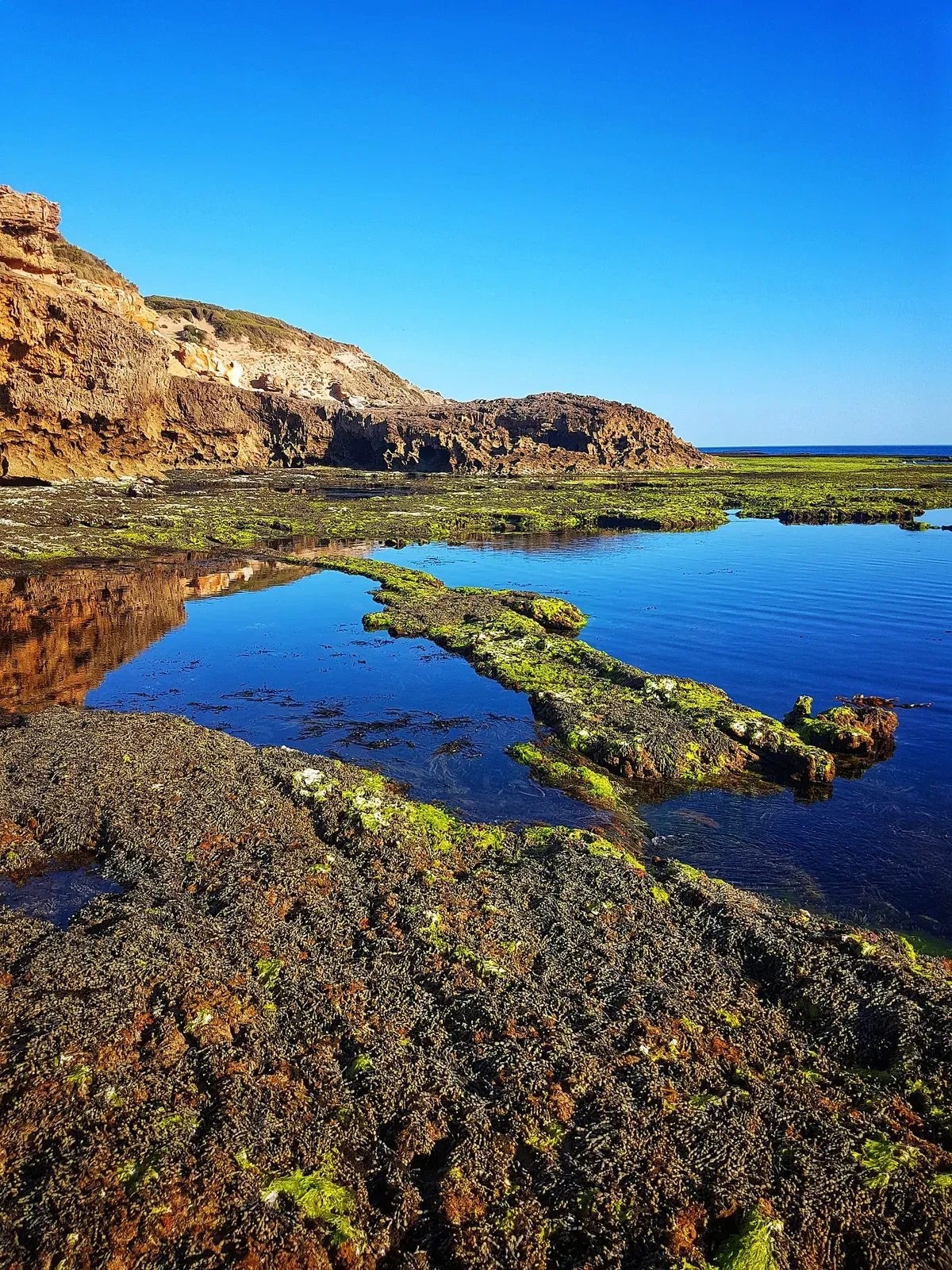 Sandstone cliffs frame a still tidal pool at Sorrento on the Mornington Peninsula coastline