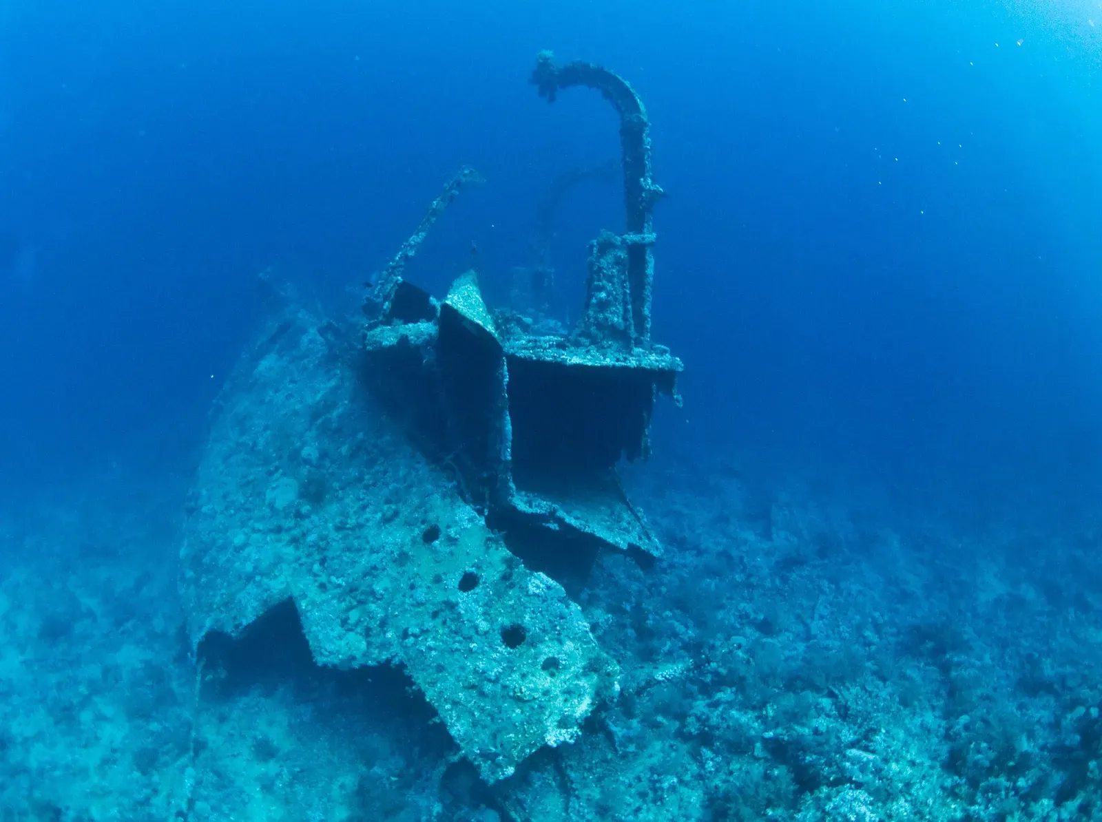 The stern of the Aida troop transport wreck rising from the wall at Big Brother Island