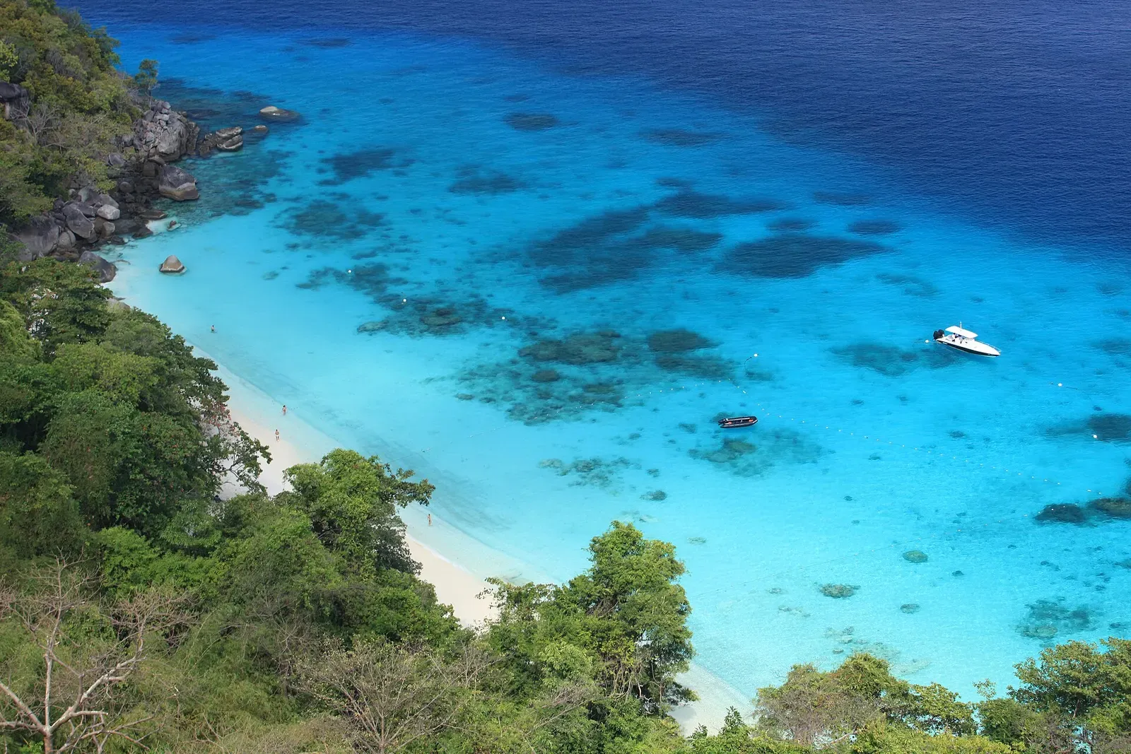 Aerial view of a Similan Islands beach with a fringing coral reef visible through clear water