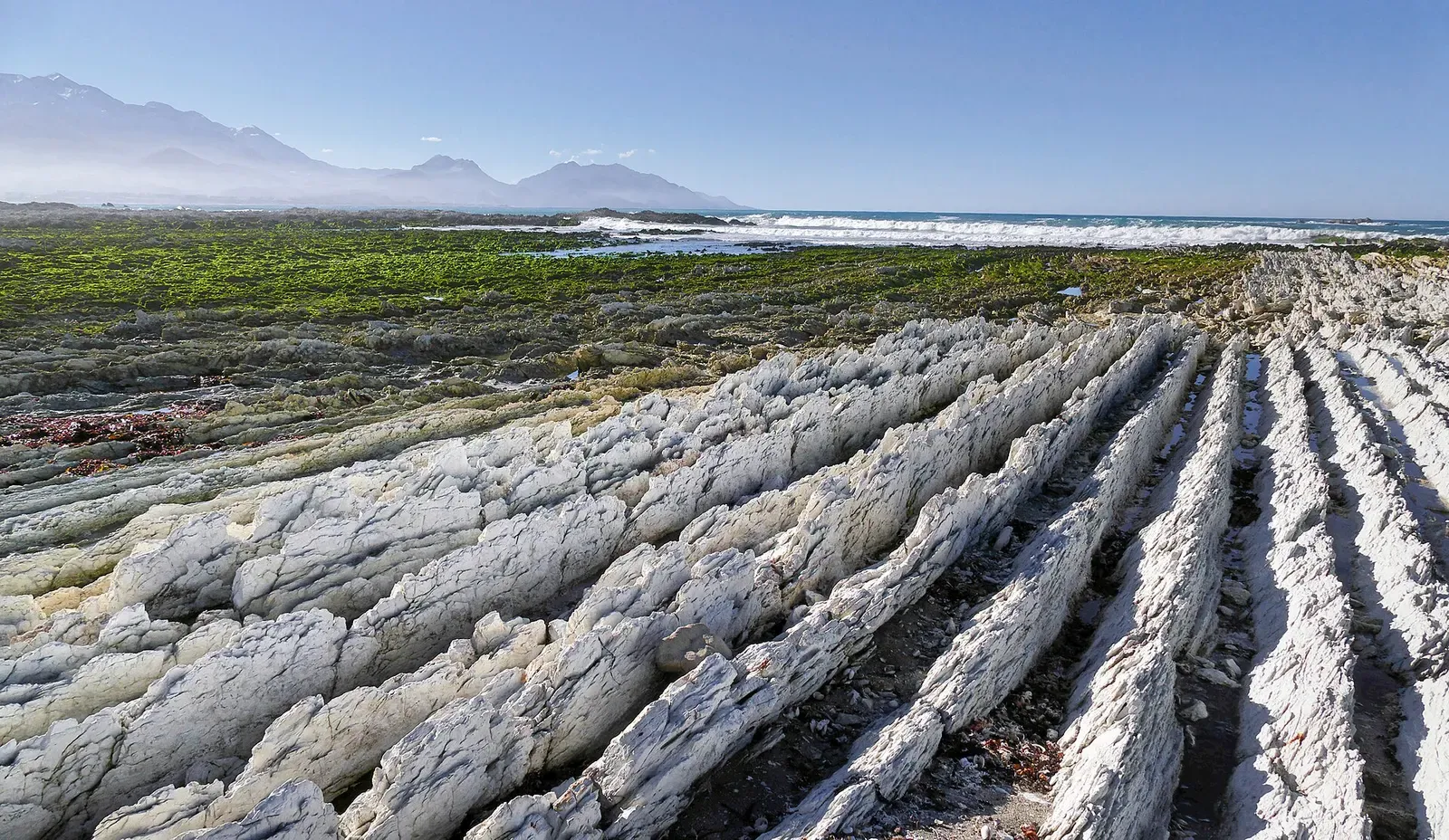 Sharp tilted limestone ridges rising along the Kaikōura coastline
