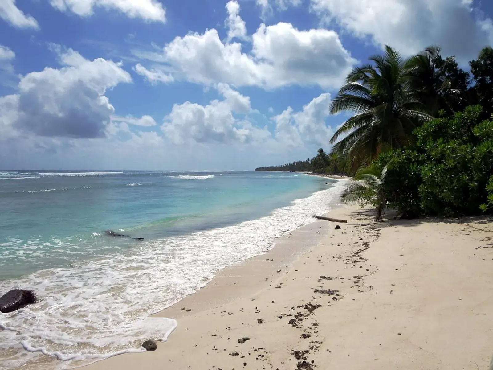 Palm-lined beach on the west coast of West Island, Cocos (Keeling) Islands, with surf breaking on the shore