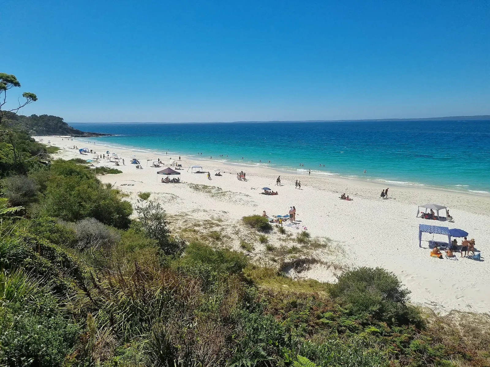 A curving white-sand beach and clear turquoise water seen from a bluff at Jervis Bay