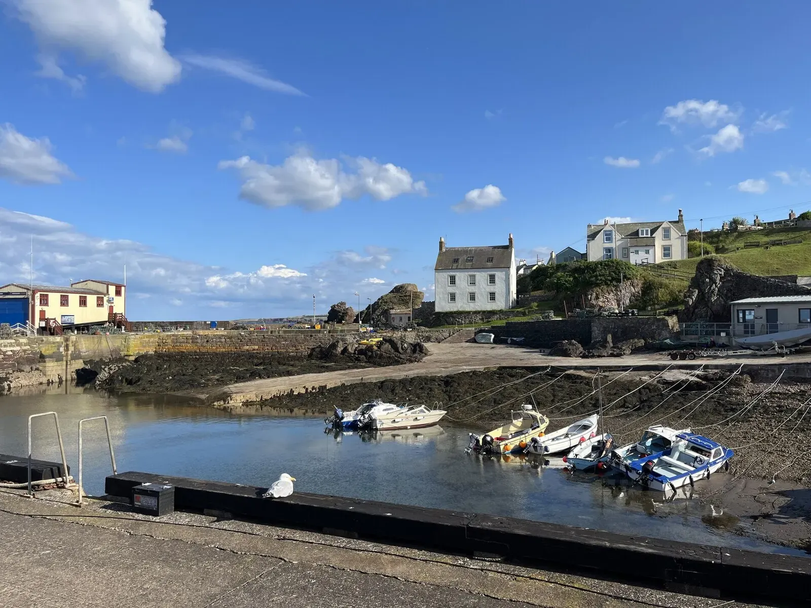 Fishing boats moored in St Abbs harbour below the village on the hillside