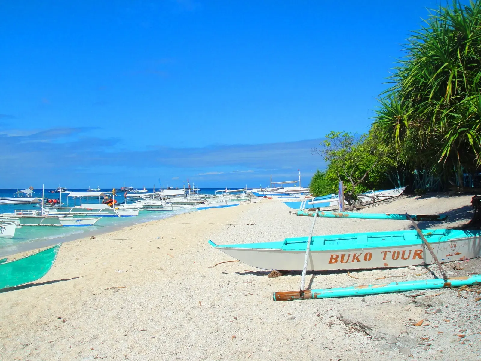 Traditional outrigger dive boats beached on Balicasag Island's white sand