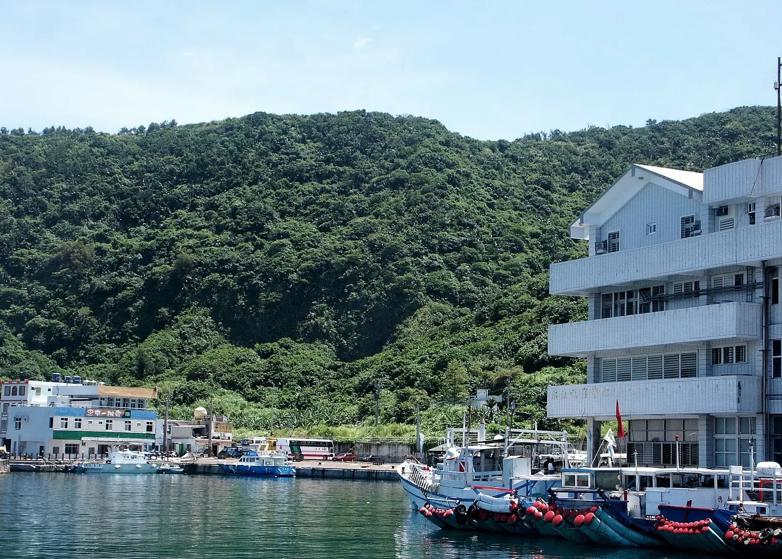 Fishing boats moored at a harbor on Green Island, backed by forested hills