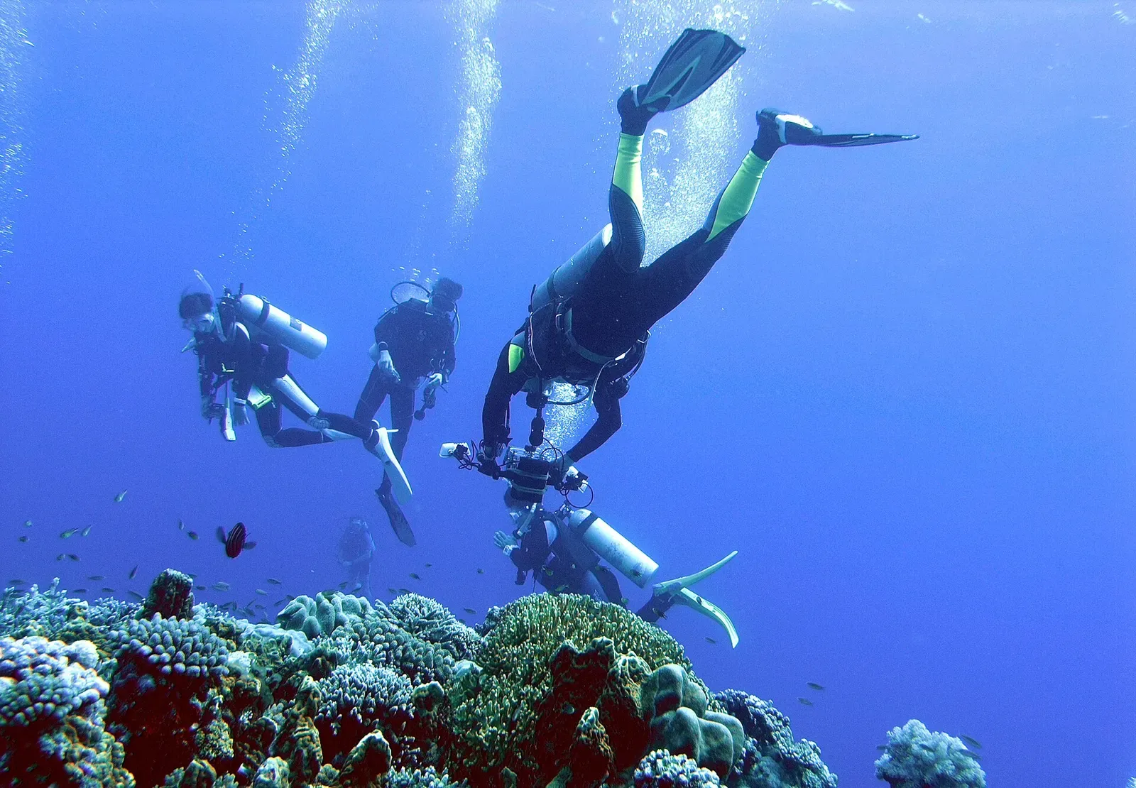 Three divers descend through open water toward a coral reef top below.