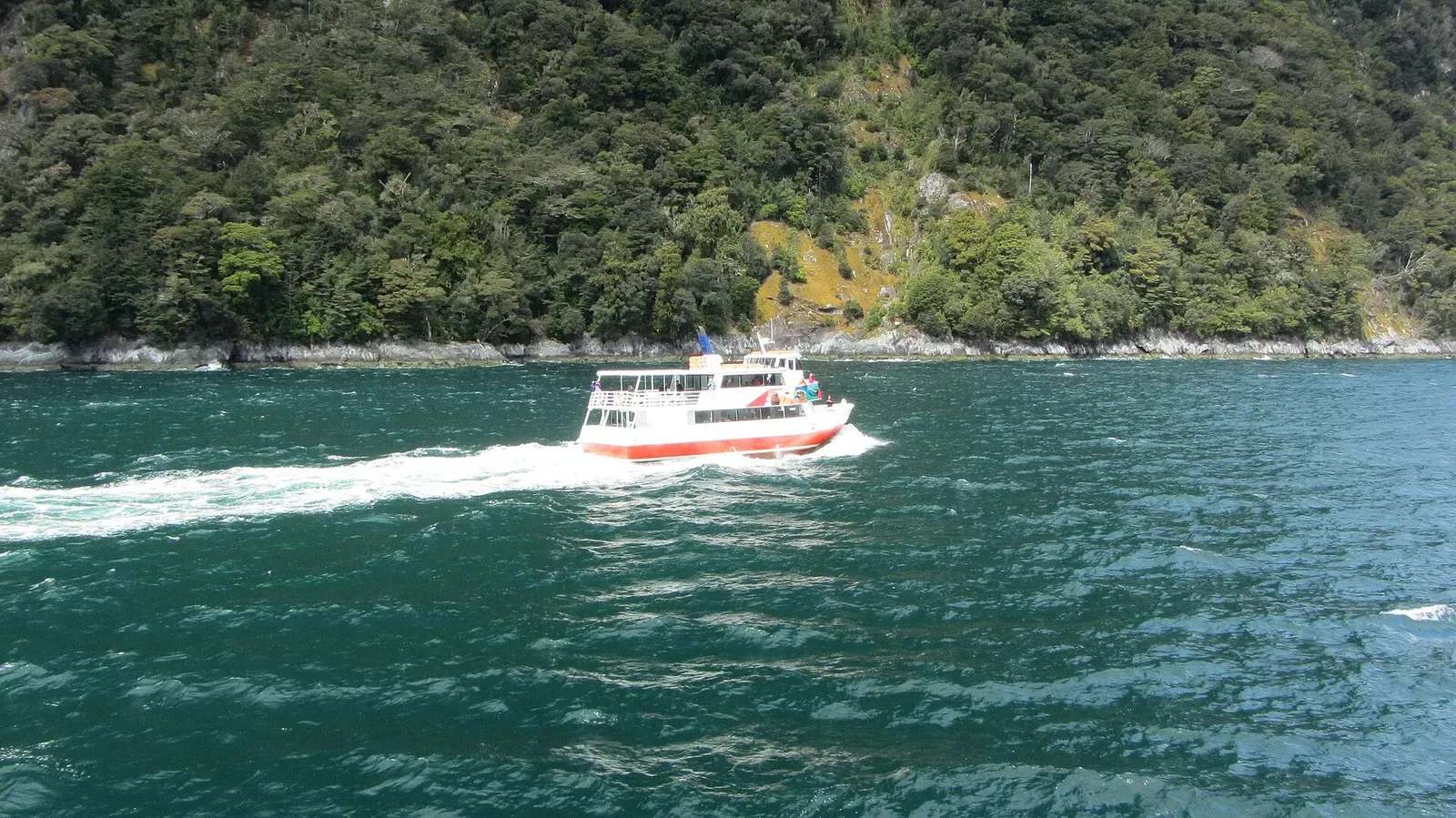 Day boat cruising turquoise waters beneath the cliffs of Milford Sound