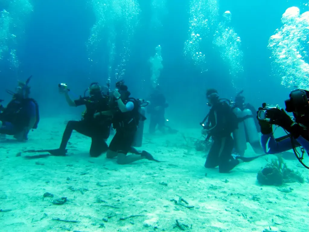 A group of divers kneels on the sand photographing marine life at a reef site.